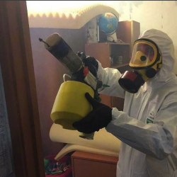 Уничтожение клопов в квартире. Уржум